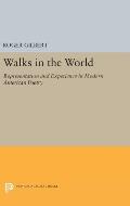 Walks in the World: Representation and Experience in Modern American Poetry