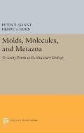 Molds, Molecules, and Metazoa: Growing Points in Evolutionary Biology