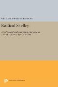 Radical Shelley: The Philosophical Anarchism and Utopian Thought of Percy Bysshe Shelley