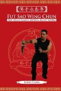 Fut Sao Wing Chun: The Leung Family Buddha Hand