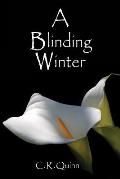 A Blinding Winter