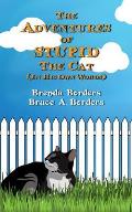 The Adventures Of Stupid The Cat