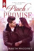 A Pinch of Promise