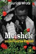 Moishele and the Flowerless Rosebush