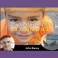 The Bird Feeder of Istanbul