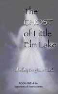 The Ghost of Little Elm Lake