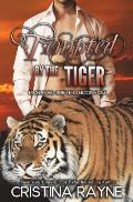 Tempted By The Tiger