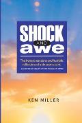 Shock & Awe: The honest reactions and humble reflections of a sin-prone saint
