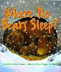 Where Do Bears Sleep