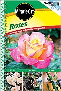 Miracle Gro Roses