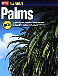 All About Palms