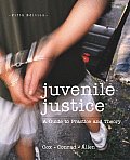 Juvenile Justice: A Guide to Practice and Theory