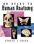 Atlas To Human Anatomy