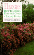 Hedges How To Select Plant & Grow A Livi
