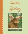 Sterling: The Lovestruck Moose with a Heart for Cows
