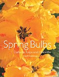Spring Bulbs Daffodils Tulips & Hyacinths