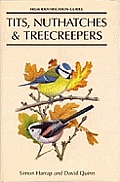 Tits Nuthatches & Treecreepers