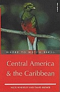 Where To Watch Birds In Central America