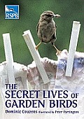 Secret Lives of Garden Birds