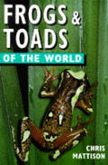 Frogs & Toads Of The World