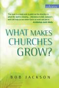 What Makes Churches Grow?: Vision and Practice in Effective Mission