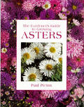 Gardeners Guide To Growing Asters
