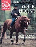 Q & A Guide To Understanding Your Horse