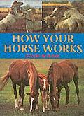 How Your Horse Works
