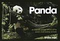 Panda An Intimate Portrait of One of the Worlds Most Elusive Animals