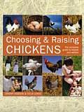 Choosing and Raising Chickens: The Complete Guide to Breeds and Welfare