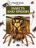 Insects & Spiders Looks At Series