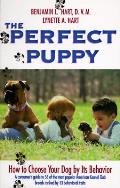 Perfect Puppy How To Choose Your Dog B