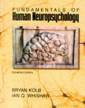 Fundamentals Of Human Neuropsychology 4th Edition