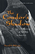 Condors Shadow