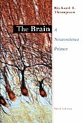 Brain A Neuroscience Primer 3rd Edition
