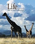 Life The Science Of Biology 6th Edition