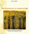 Emergence Of Agriculture