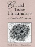 Cell Tissue Ultrastructure