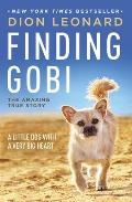Finding Gobi A Little Dog with a Very Big Heart