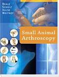 Small Animal Arthroscopy
