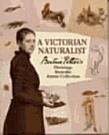 Victorian Naturalist Beatrix Potters Drawings From the Armitt Collection