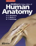 Mcminns Color Atlas Of Human Anatomy 5th Edition