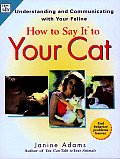 How To Say It To Your Cat Solving Baha