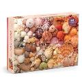 Vibrant Seashells 1000 Piece Puzzle