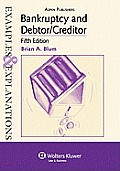 Bankruptcy & Debtor/Creditor: Examples & Explanations 5e