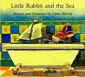 Little Rabbit & The Sea