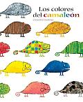 Los Colores Del Camaleon Chameleons Colo