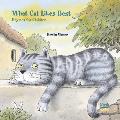 What Cat Likes Best Rhymes for Children