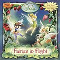 Fairies In Flight