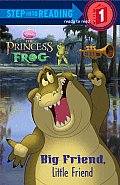 Big Friend Little Friend The Princess & the Frog